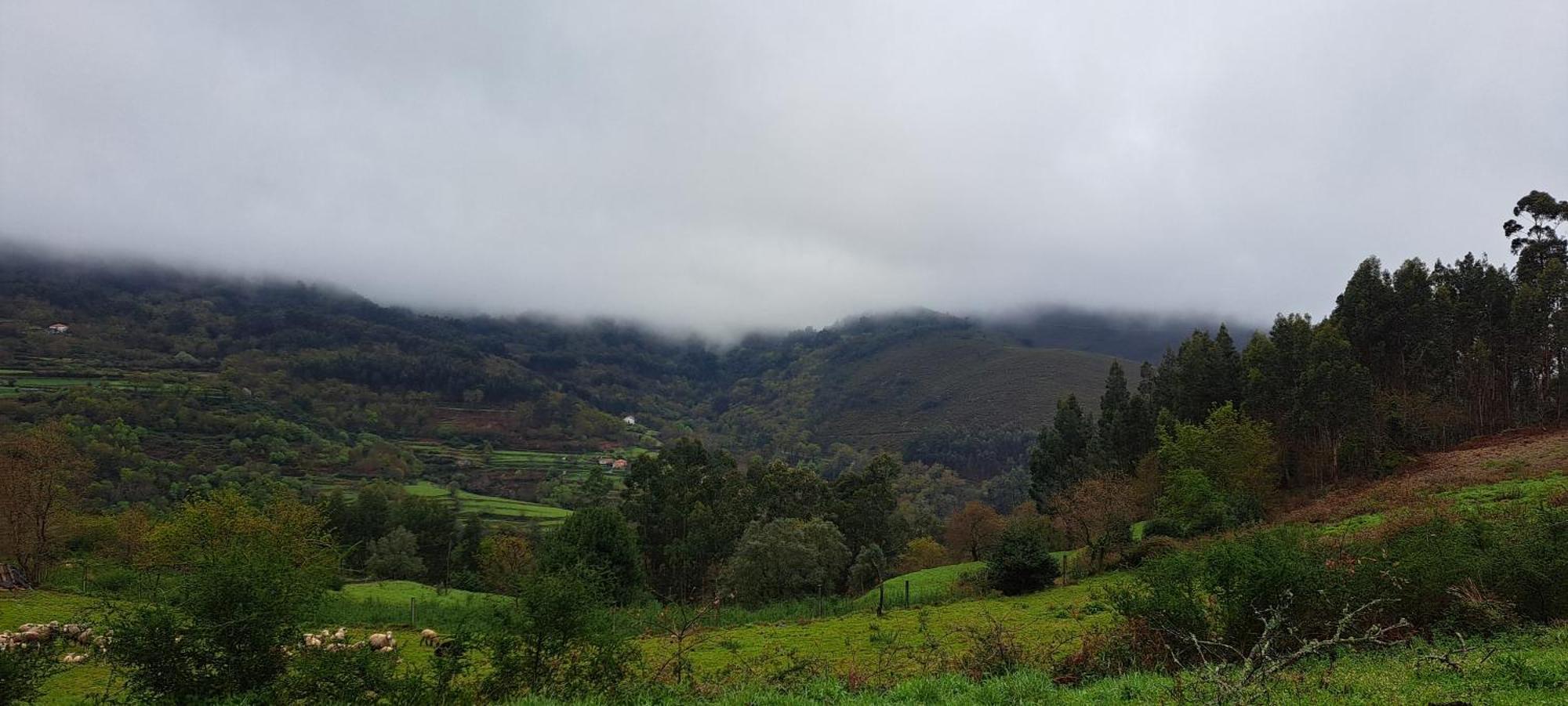 Refugio Dos Cartolas Sao Mamede de Infesta Bagian luar foto
