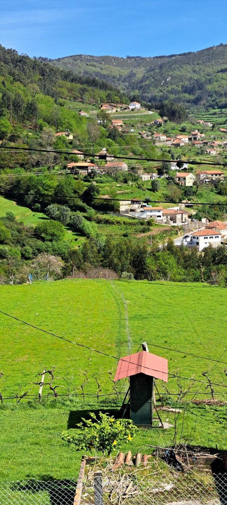 Refugio Dos Cartolas Sao Mamede de Infesta Bagian luar foto